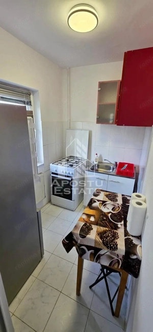 Apartament cu 1 camera de inchiriat, zona Aradului, Timisoara - imagine 4