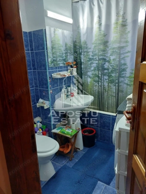 Apartament decomandat cu 2 camere mobilat si utilat,Calea Lipovei - imagine 13