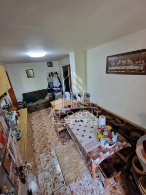 Apartament decomandat cu 2 camere mobilat si utilat,Calea Lipovei - imagine 6