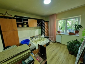 Apartament decomandat cu 2 camere mobilat si utilat,Calea Lipovei - imagine 7