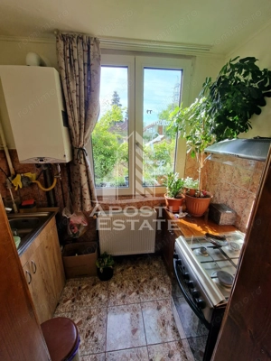 Apartament decomandat cu 2 camere mobilat si utilat,Calea Lipovei - imagine 10