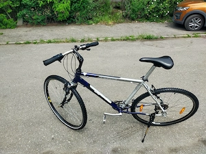 Bulls roti 28,Langus Miami, bicicletă de damă