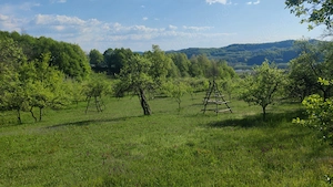 Vand 3000 mp (2 euro mp) teren extravilan Suici - Arges