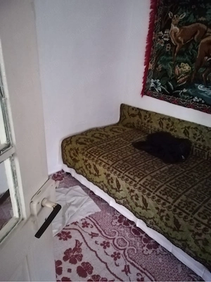 Vând proprietate în Soveja   ideală pentru locuit sau investiție! - imagine 3