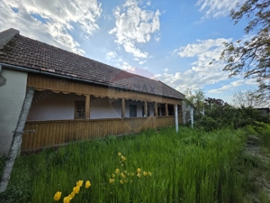Gospodarie de vanzare in Giulvaz, judetul Timis - imagine 3