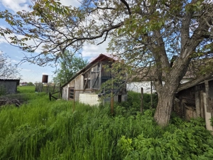 Gospodarie de vanzare in Giulvaz, judetul Timis - imagine 13