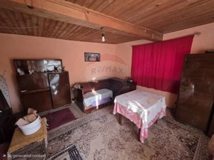 Gospodarie de vanzare in Giulvaz, judetul Timis - imagine 19