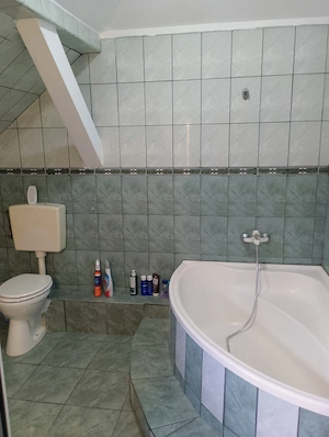 CI658 Sagului,casa-vila individuala P+M,Timisoara - imagine 11