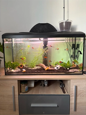 Vand Acvariu de 120 Litri Complect - imagine 2