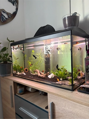 Vand Acvariu de 120 Litri Complect - imagine 3