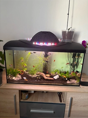 Vand Acvariu de 120 Litri Complect