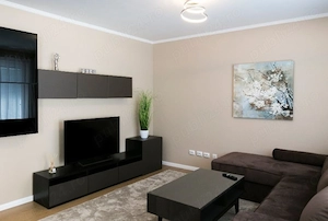  pe Calea Circumvalatiunii chirie apartament 2 camere langa Kaufland  - imagine 7