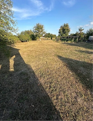 Vand  teren + casa voaiaga Sânlazar (45 km Oradea)  - imagine 5