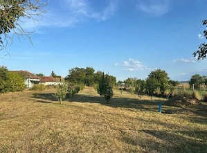 Vand  teren + casa voaiaga Sânlazar (45 km Oradea)  - imagine 2