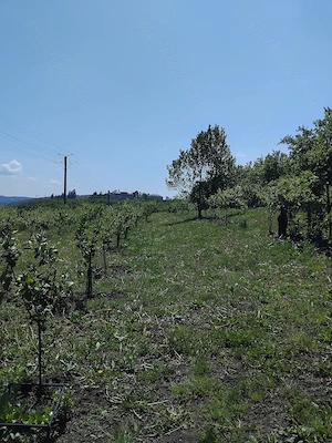 Teren de vânzare