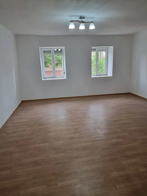 Casa în comuna Lovrin - imagine 2