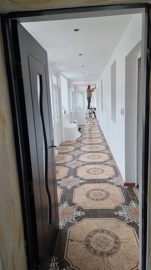 Casa în comuna Lovrin - imagine 3