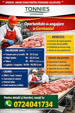 Angajări Germania   abator   procesare carne   Tönnies