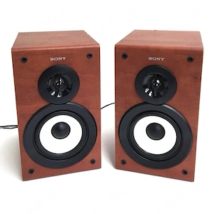 Boxe de raft Sony 30w Rms