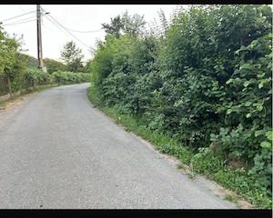 Vând proprietate în Munții Apuseni  - imagine 4