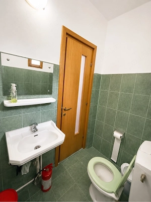 Spatiu birouri   comercial de inchiriat  str. Al. Marghiloman    zona Dany Cris - imagine 6
