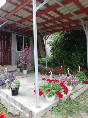 propietar vand casa cu gradina mobilata cu panouri electrice facturi mici  - imagine 3