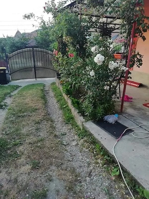 propietar vand casa cu gradina mobilata cu panouri electrice facturi mici  - imagine 4