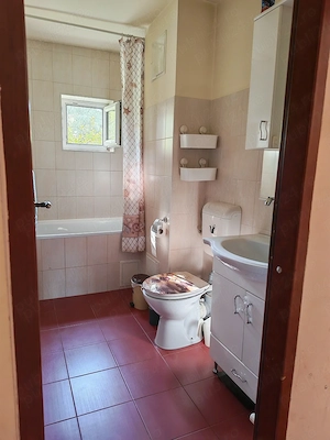 Apartament cu 2 camere în zona Sagului-Kiriac confort 1 amenajat integral mobilat utilat - imagine 7