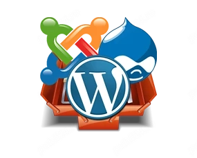 Site de prezentare, magazin online, ziar online tip breaking news
