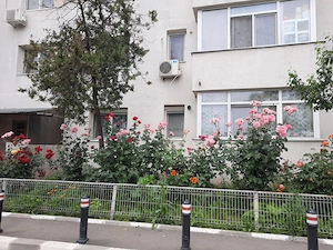 Vand apartament 2 camere, Kaufland Vergului - imagine 8
