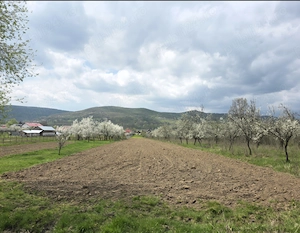 Teren de vanzare - Rădești 