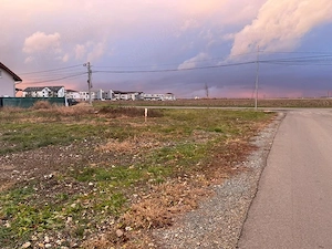 Vând teren pentru servicii P+2 Strada Mureș Dumbravița - imagine 6