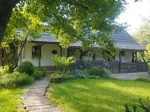 Vand teren 0,75 ha in Bazna cu doua case, o casuta, anexe... Ideal pentru camping, Airbnb, pensiune