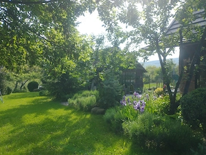 Vand teren 0,75 ha in Bazna cu doua case, o casuta, anexe... Ideal pentru camping, Airbnb, pensiune - imagine 6