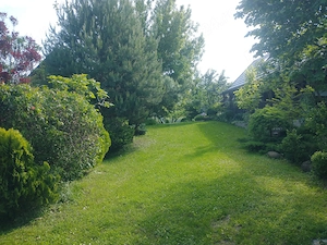Vand teren 0,75 ha in Bazna cu doua case, o casuta, anexe... Ideal pentru camping, Airbnb, pensiune - imagine 4