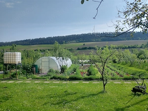 Vand teren 0,75 ha in Bazna cu doua case, o casuta, anexe... Ideal pentru camping, Airbnb, pensiune - imagine 9