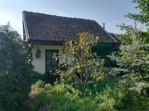 Vand teren 0,75 ha in Bazna cu doua case, o casuta, anexe... Ideal pentru camping, Airbnb, pensiune - imagine 7
