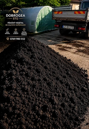 Pmant negru vegetal