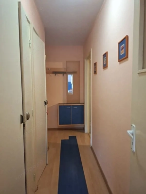 Apartament 2 camere de inchiriat, parcare, Pet Friendly - Drumul Taberei - imagine 7