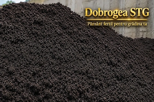 Pamant negru vegetal