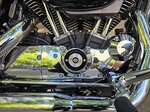 Harley Davidson Sportster 1200 Custom - imagine 2