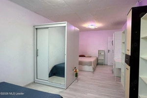 Fizicienilor - Lacramioarei, 3 camere 67 mp, pod 40 mp, modernizat - imagine 8