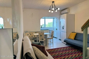 Fizicienilor - Lacramioarei, 3 camere 67 mp, pod 40 mp, modernizat - imagine 3