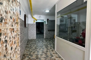 Fizicienilor - Lacramioarei, 3 camere 67 mp, pod 40 mp, modernizat - imagine 14