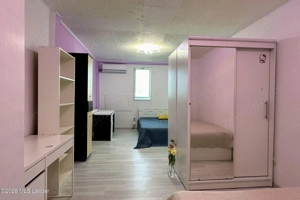 Fizicienilor - Lacramioarei, 3 camere 67 mp, pod 40 mp, modernizat - imagine 6