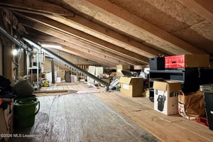 Fizicienilor - Lacramioarei, 3 camere 67 mp, pod 40 mp, modernizat - imagine 11