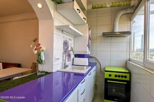 Fizicienilor - Lacramioarei, 3 camere 67 mp, pod 40 mp, modernizat - imagine 9