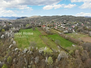 Mountain Plateau - 23.345 SQM - Exclusive Estate | Jud Prahova - Valea Prahovei - imagine 8