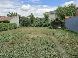 Vand casa in Timisoara