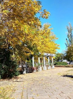 Îngrijirea Bătrânilor la domiciliu Timișoara 